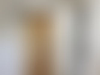 דלת כניסה אלומיניום או עץ - מה עדיף