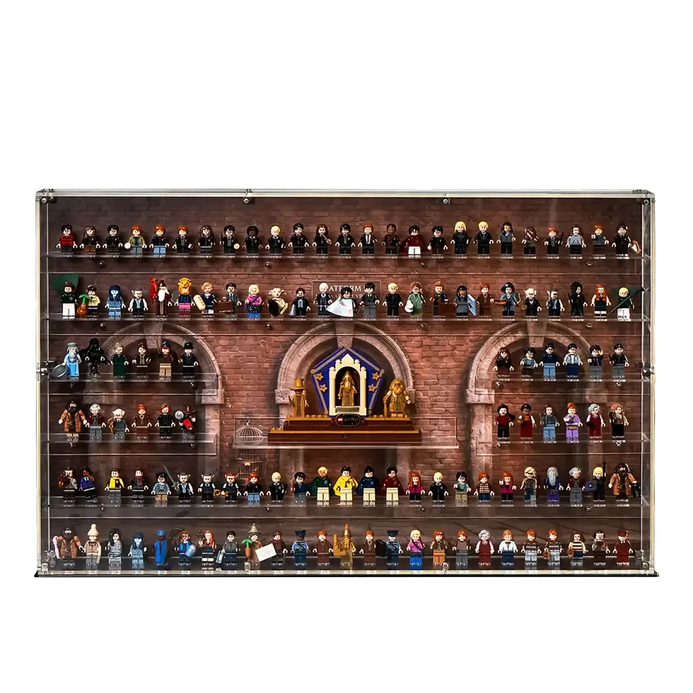 124 LEGO® Harry Potter™ Minifigures Wall Display Case