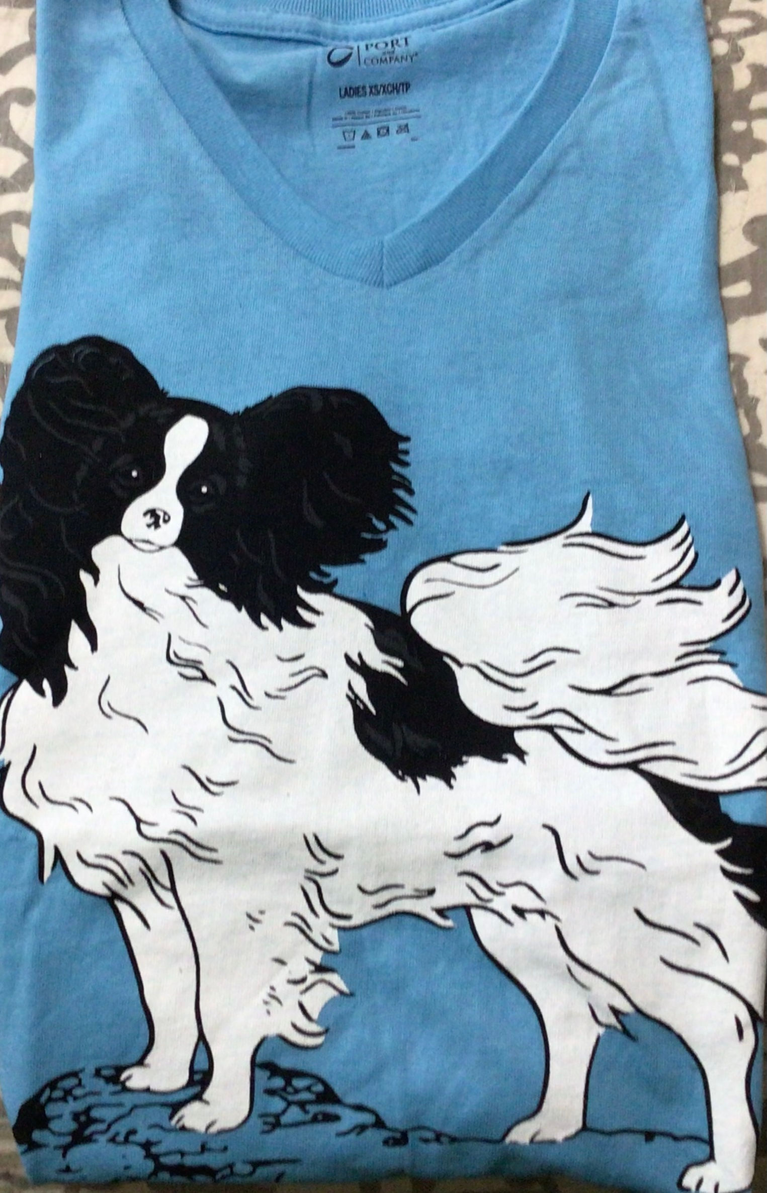 Nancy Pinke Standing Rock Pap 2 LPC54V Port & Company® Ladies Core Cotton V-Neck