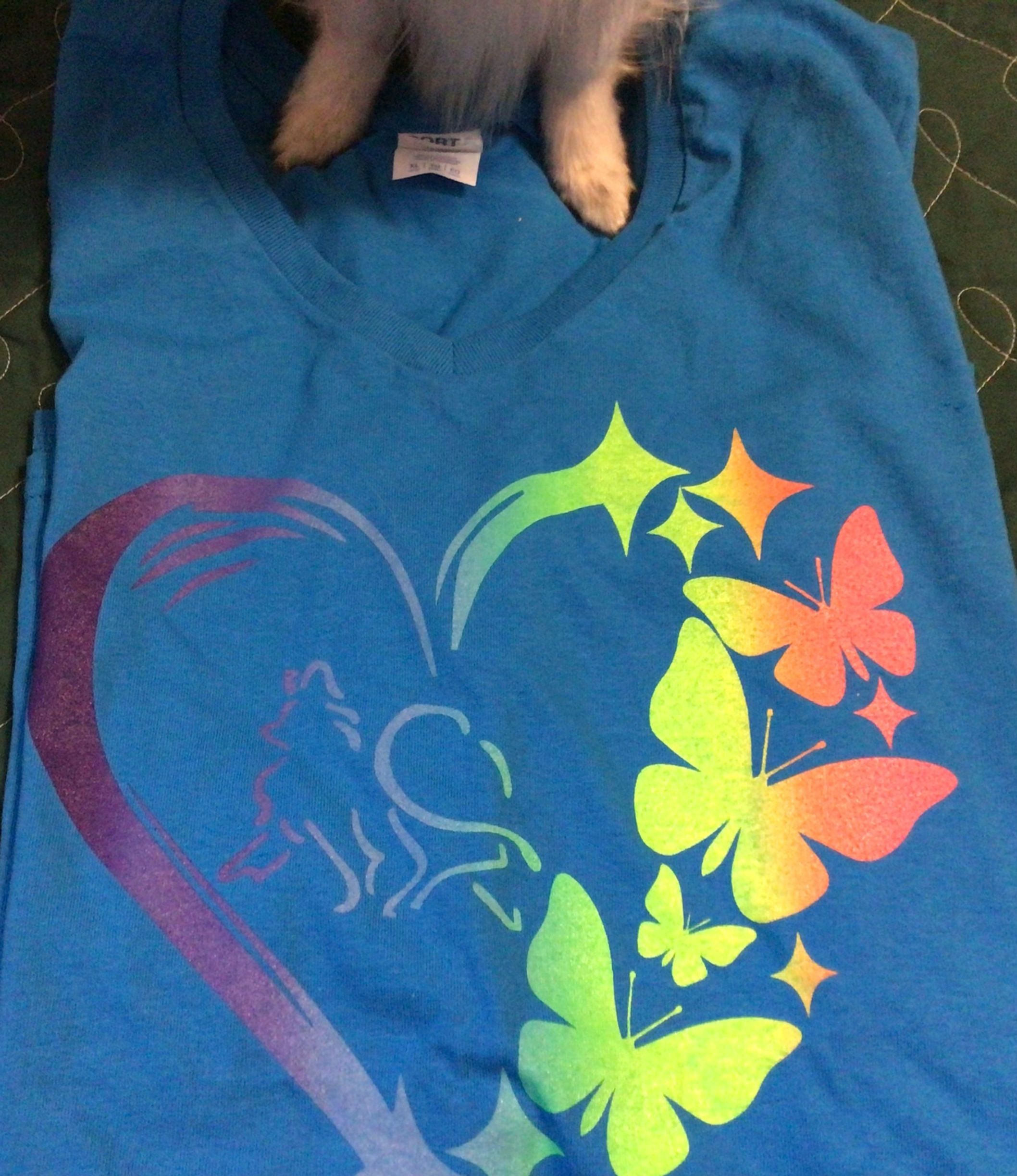 Colorful Screen Print  2 Gaiting Pap Heart 2 LPC54V Port & Company® Ladie