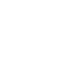 action.png