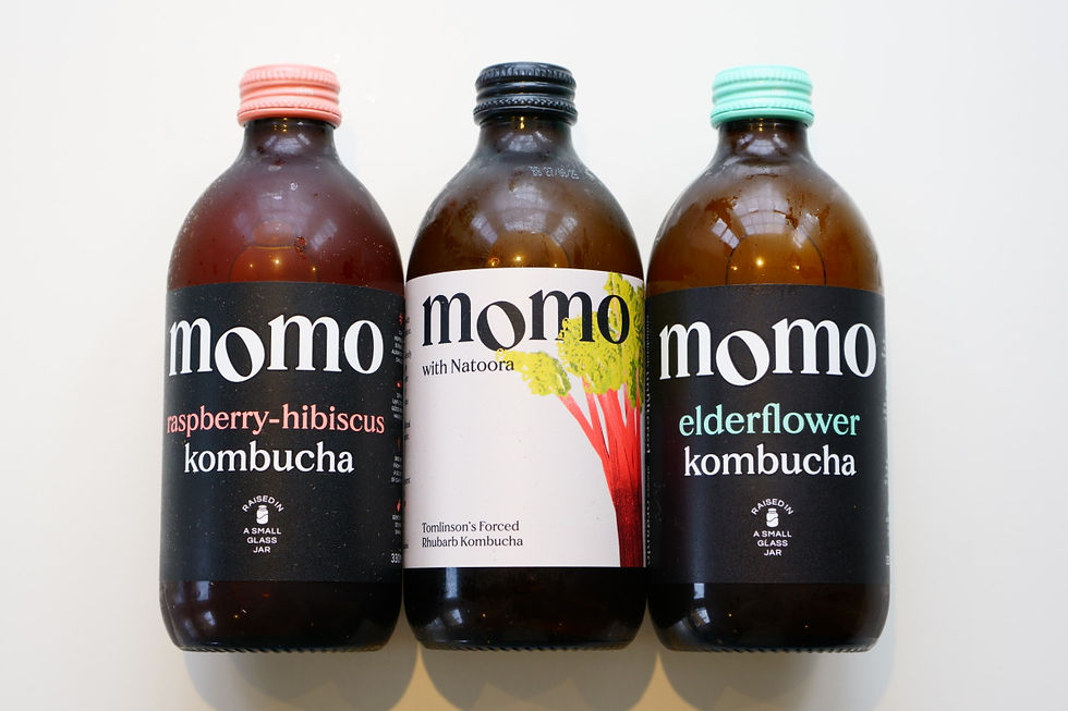 Maison Gavottes 2.JPG