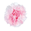 Thumbnail: Duet Mini Carnation