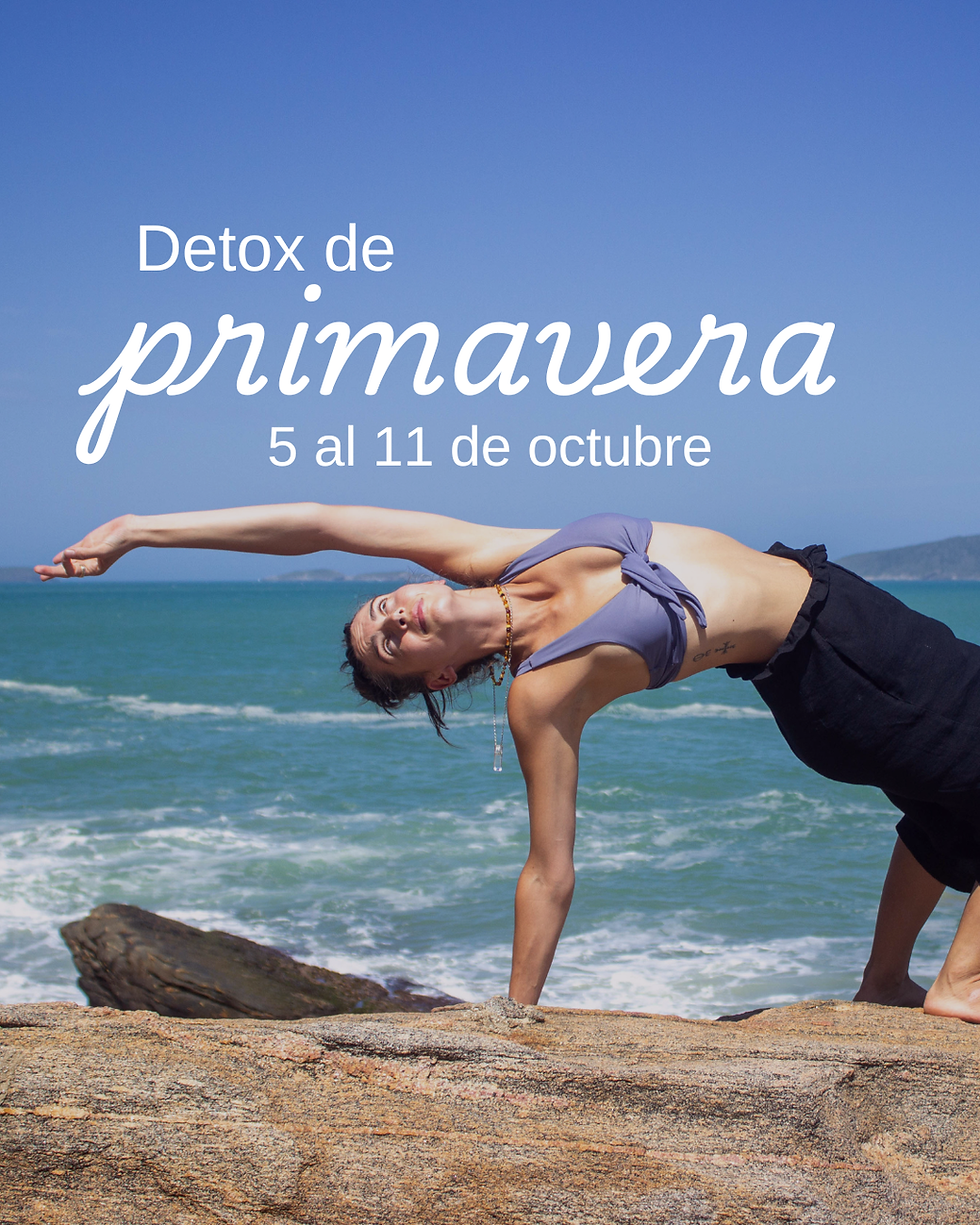 programas (6)