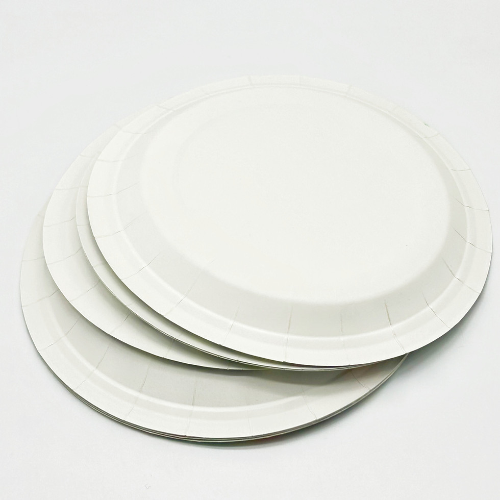 Thumbnail: Paper Plates Variety