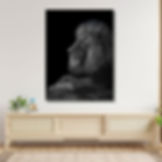 Lion Charcoal Canvas Painting artworks