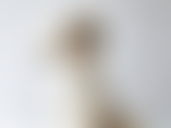 Why Leaving Your Pet in a Hot Car is a Life-Threatening Mistake