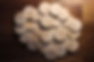 custom-wooden-nickels-blank.jpg