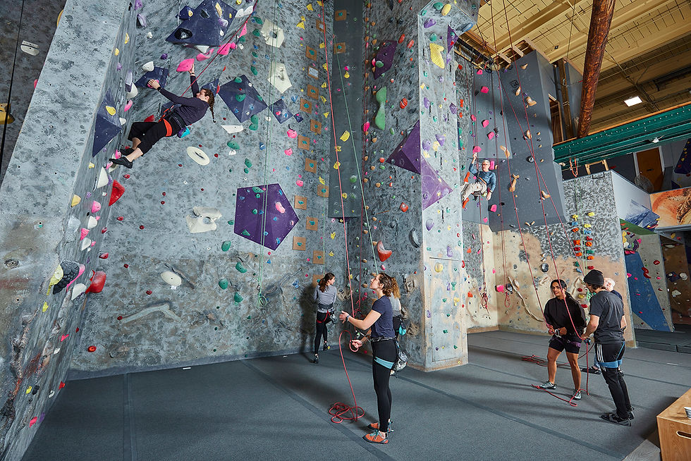climbers belaying and climbing