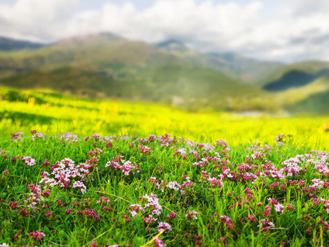 Will You Be Found in Christ?