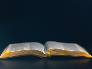 Reading Your Bible