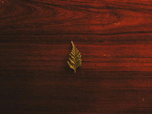 Do You Ever Think of Christ Preciousness?