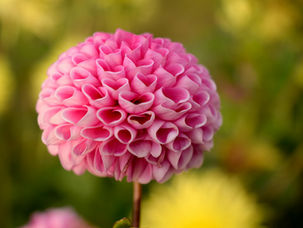 Sermon of the Month: September 2025