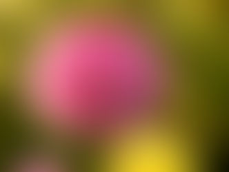 Sermon of the Month: September 2025