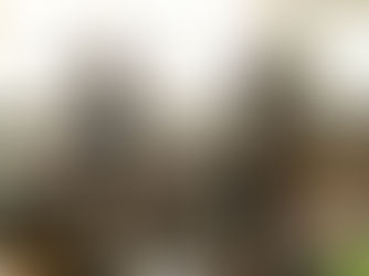 Why Does Biblical Mentorship Matter? (part 1)