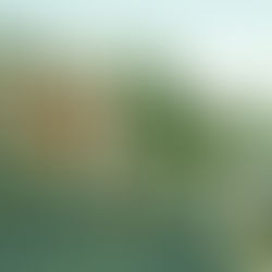 Young Men's Summit 2023