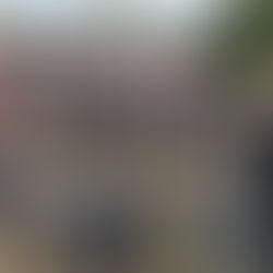 Blåt Lederspor 2019