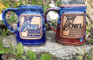 Fill Our Cup - Get a Cup! Handmade ORI mugs
