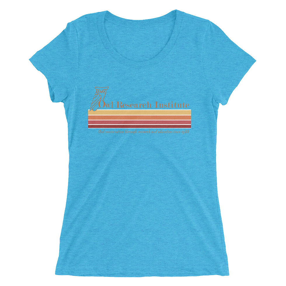 Thumbnail: Juniors'/Ladies' short sleeve - retro logo stripe