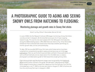 A Photographic Guide to Aging and Sexing Snowy Owl Chicks