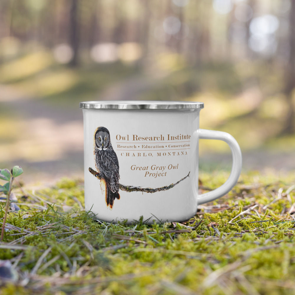 Enamel Mug - Great Gray Owl Project