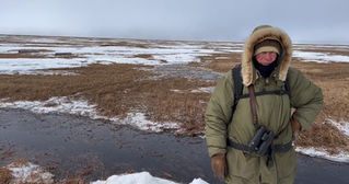 2023 Snowy Owl Breeding Season Updates