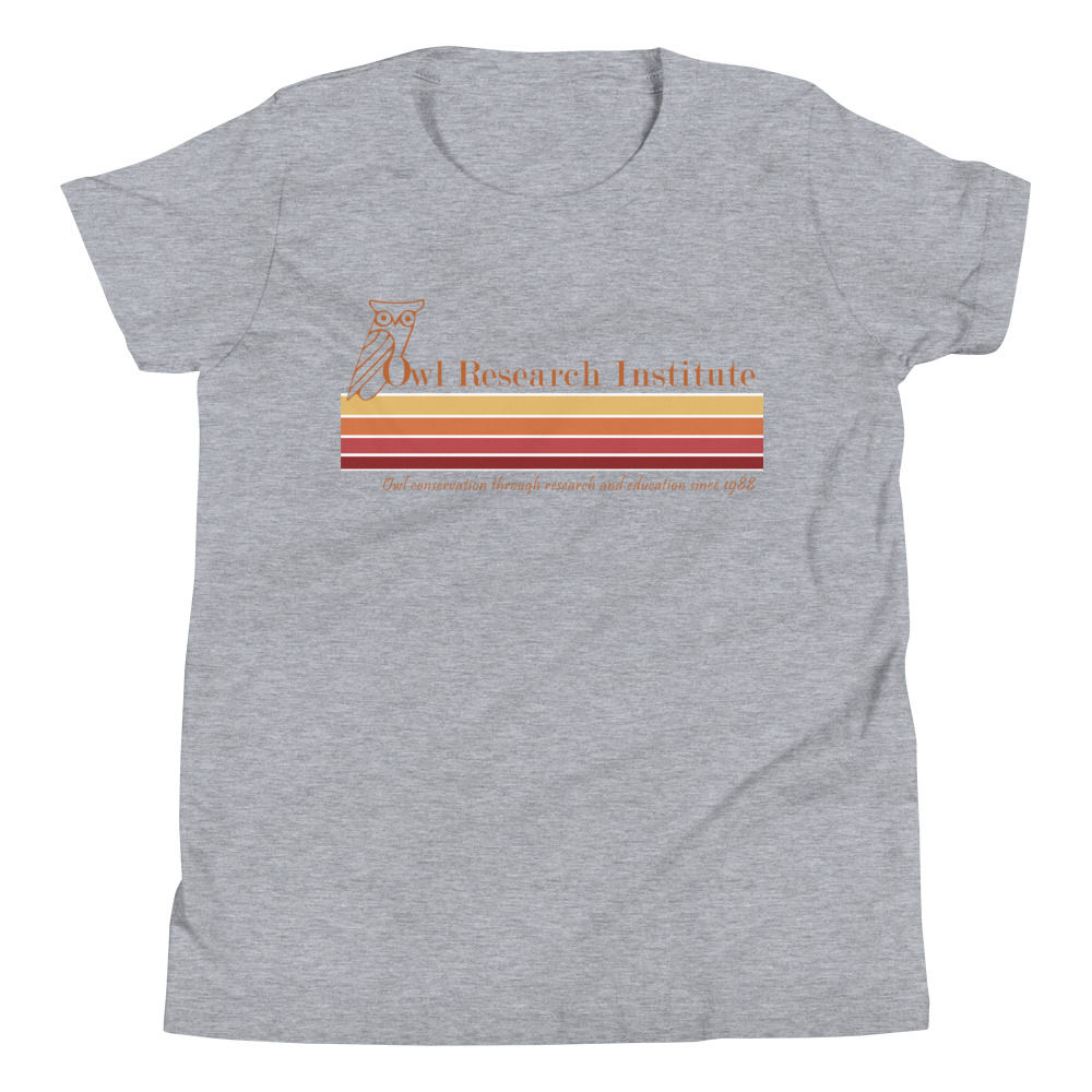 Youth Short Sleeve - Retro logo stripe