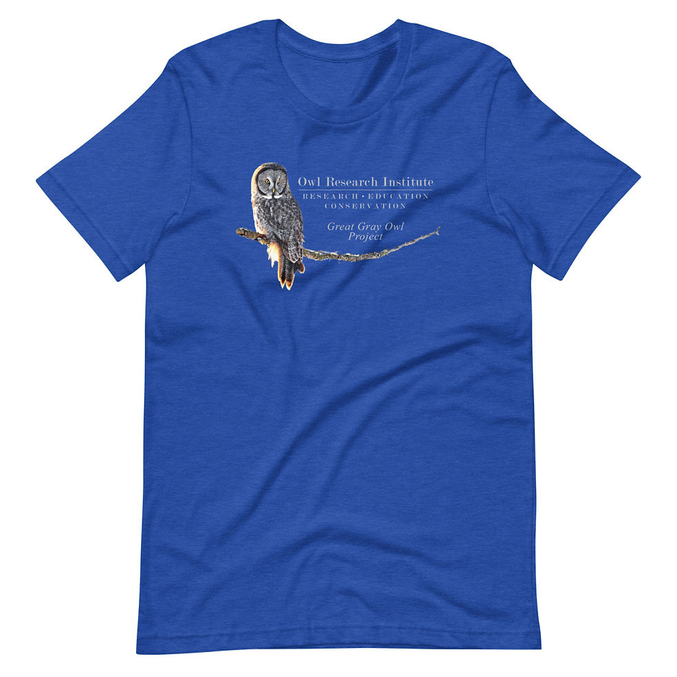 Thumbnail: Short-Sleeve Unisex - Great Gray Project