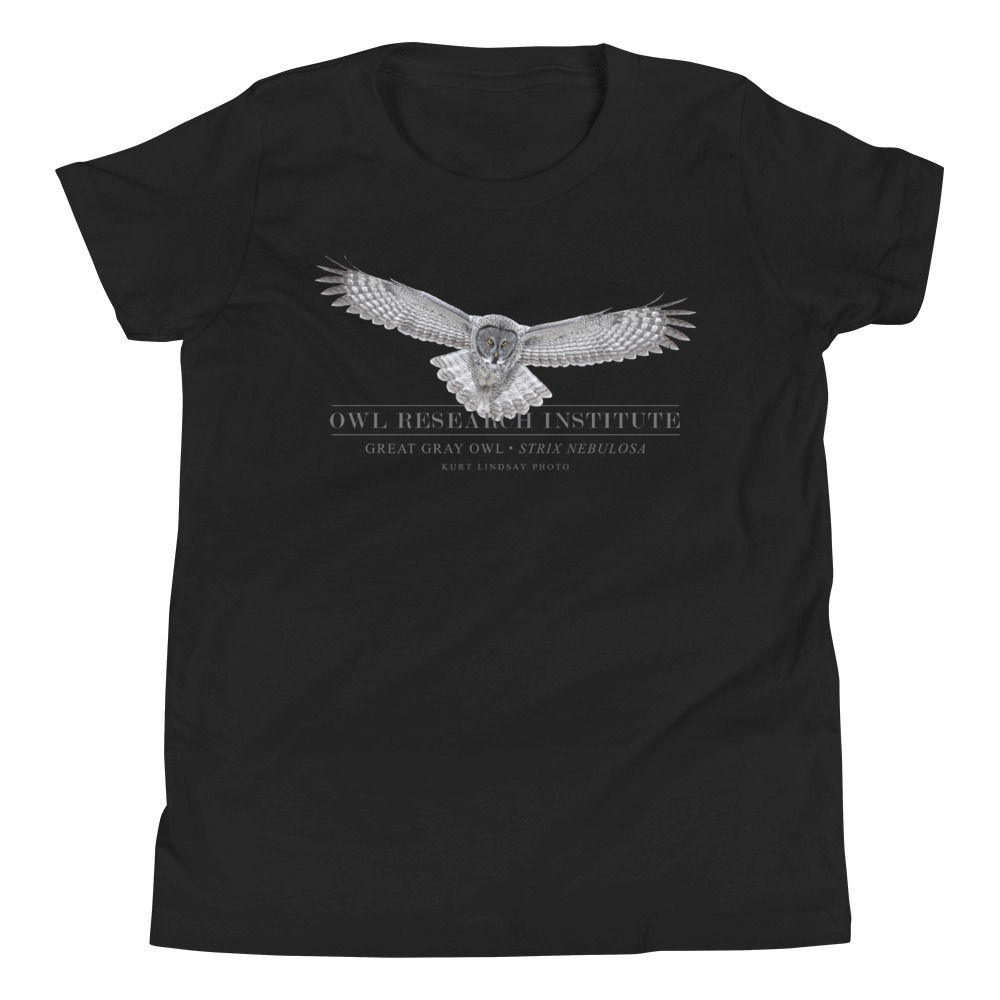 Youth Short Sleeve - Great Gray in flight