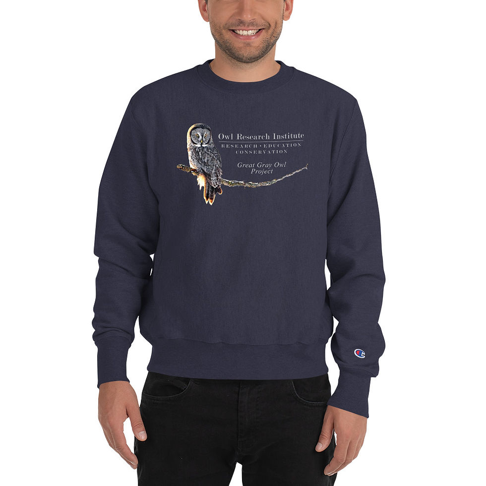 Thumbnail: Champion Sweatshirt - Great Gray Project