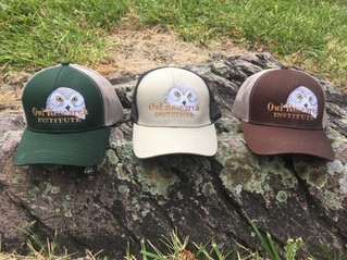 Snowy Owl caps are here! Get 'em while they last!