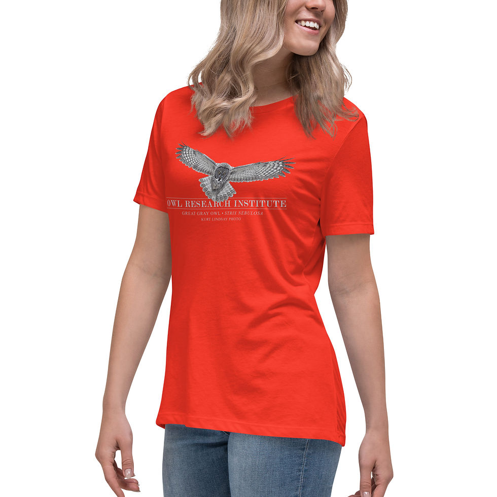 Thumbnail: Women's Relaxed T-Shirt Great Gray in Flight