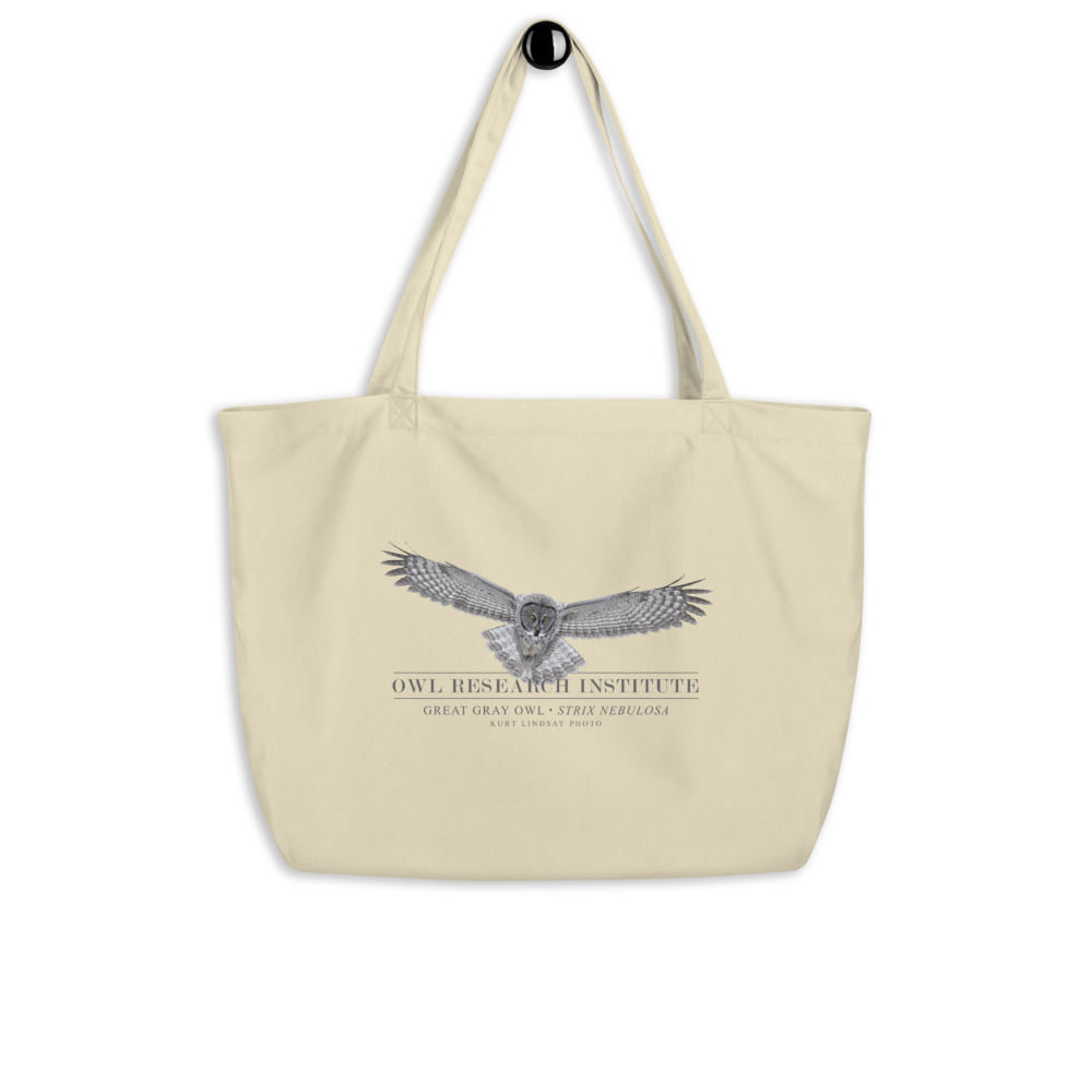 Large organic tote bag - Great Gray in flight