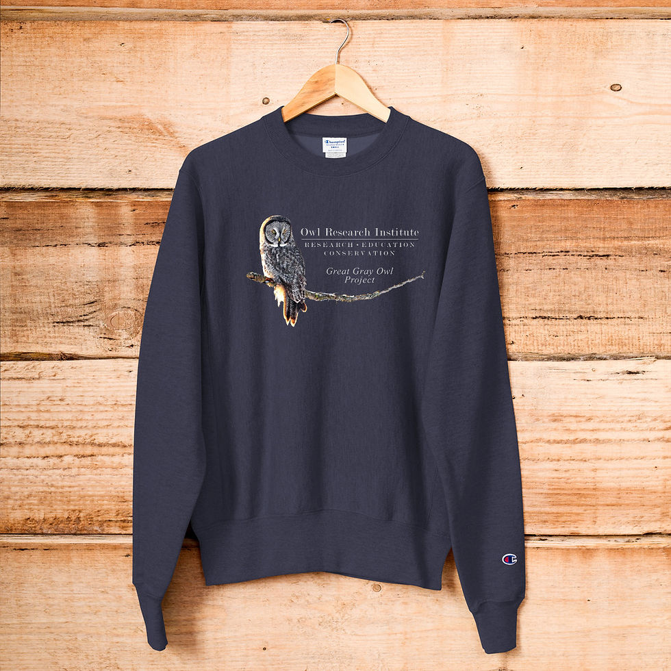 Thumbnail: Champion Sweatshirt - Great Gray Project