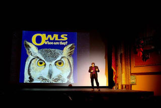 Owls of Montana - Bozeman, MT