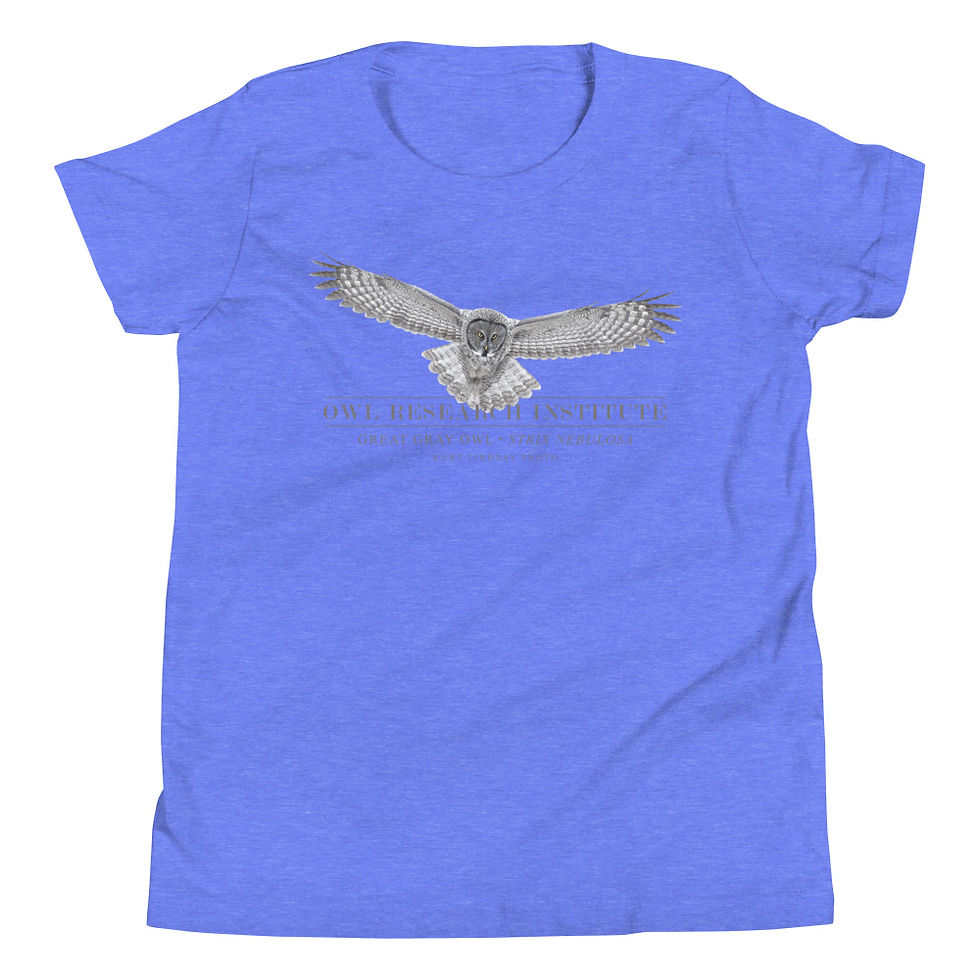 Thumbnail: Youth Short Sleeve - Great Gray in flight