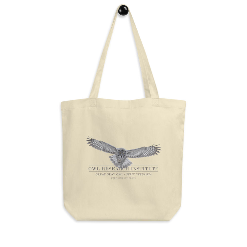 Eco Tote Bag - Great Gray Owl in flight