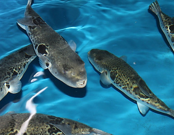 写真 2011-10-07 10 36 30.jpg