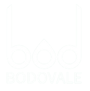 bodovaleロゴ-removebg-preview (1).png