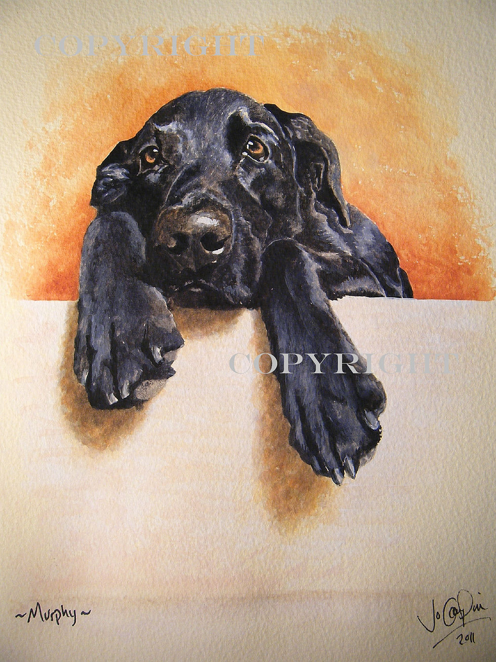 MURPHY JONES finishedCOPY - Copy