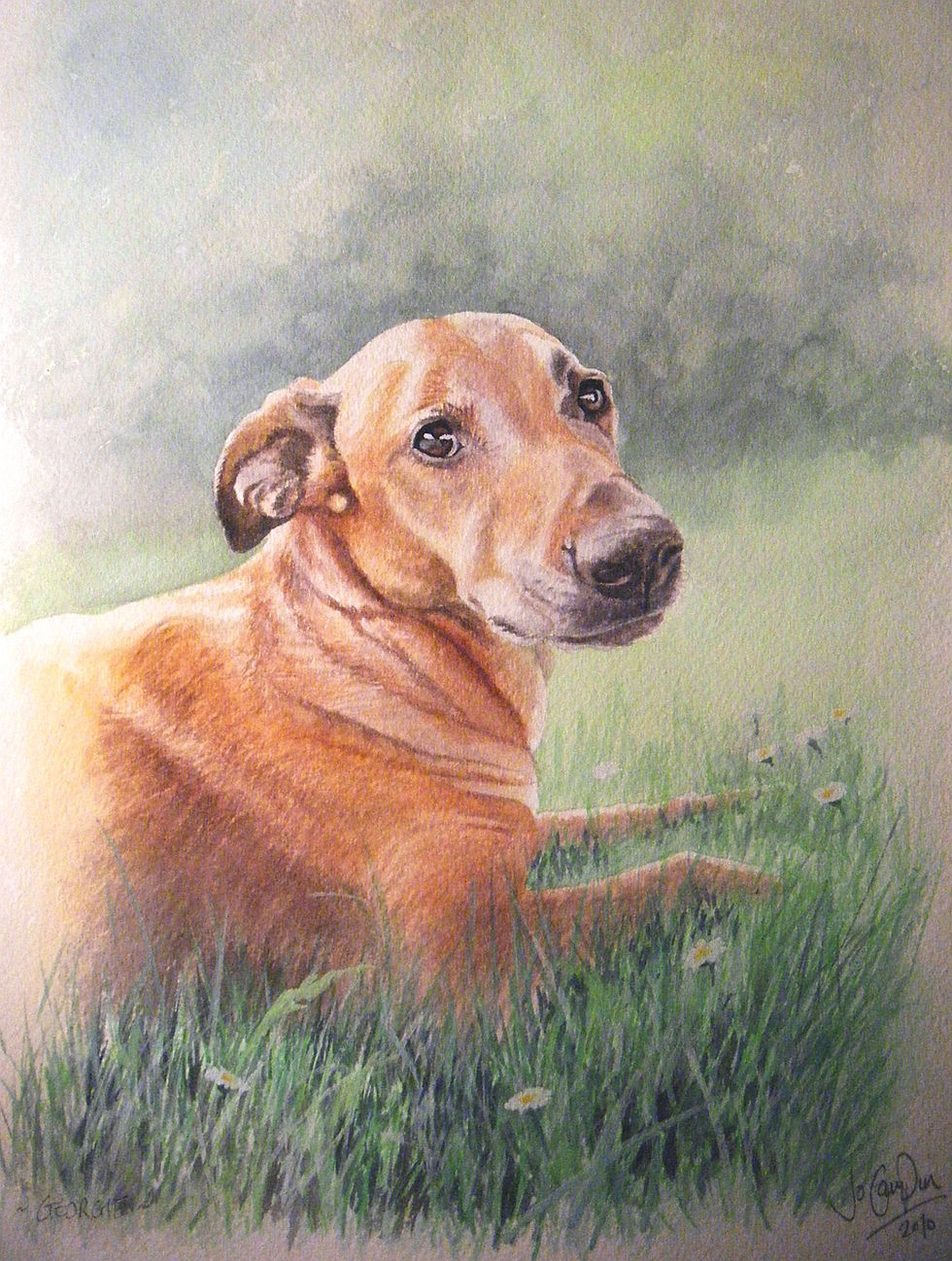 Georgie Packer 005