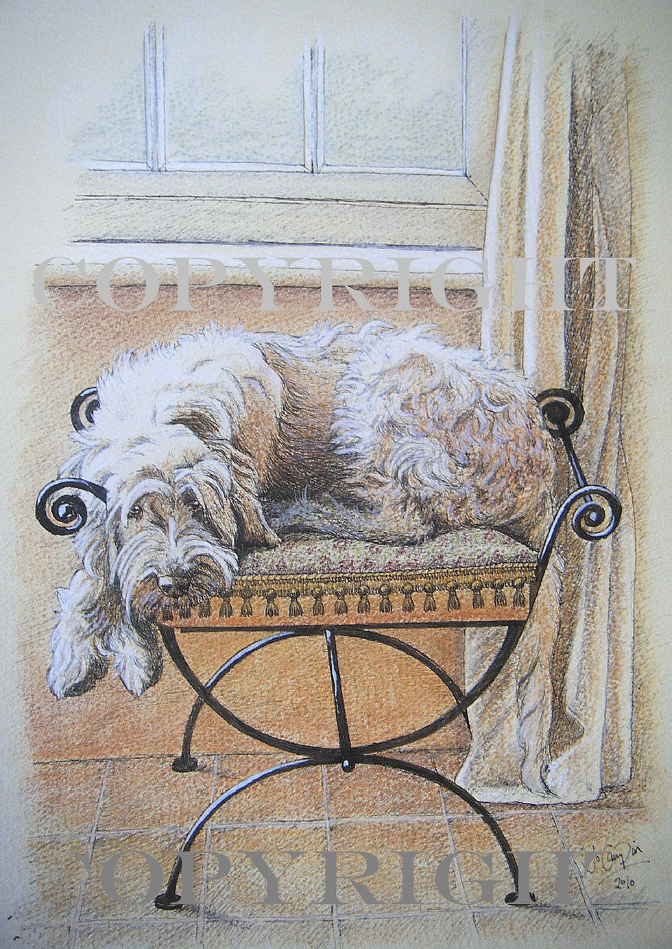 Lola spinone 003COPY