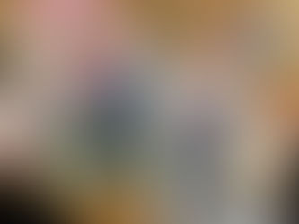 Op vakantie naar Duckstad!