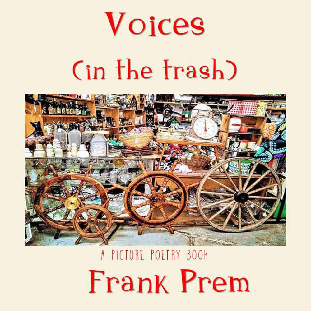 Cover of Voices in the Trash by Frank Prem
