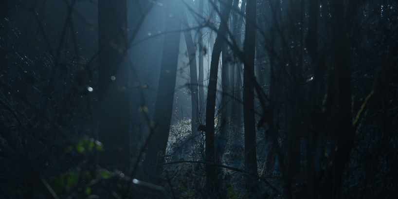 Website banner test 2.png