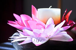 Lotus-Candle