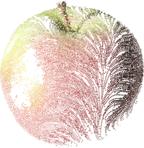 apple illustration