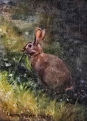 Dont cut the grass edit2.jpg