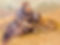 Henry's Hillside Nancy Van Meter 850.jpg