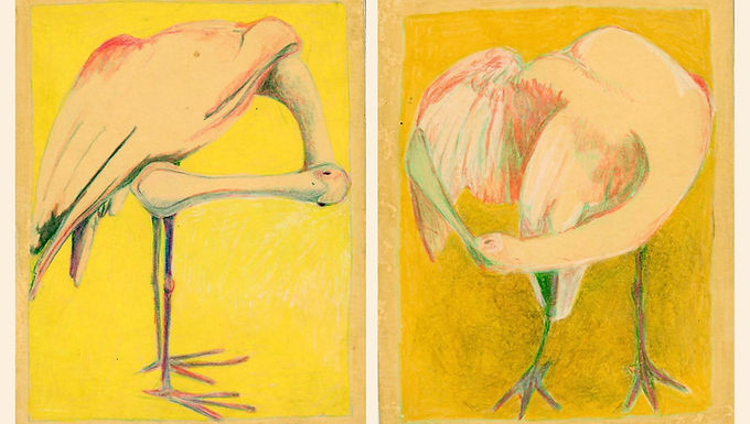 Roseate Spoonbill Diptych